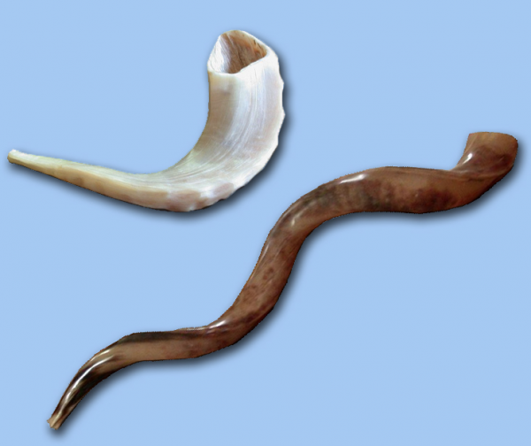 Five Fast Facts About Shofars Jew in the City