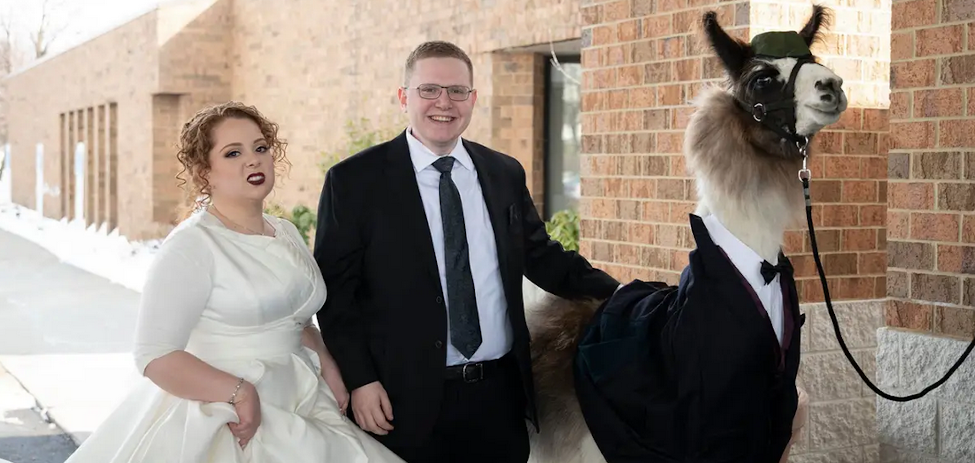Frum Man Brings Llama to His Sister's Wedding & Other Orthodox Jews in the News