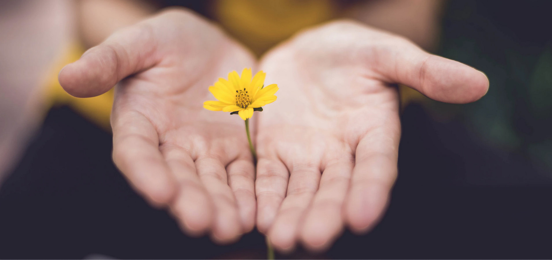 Should I Make Amends With Someone I Don't Think I've Wronged?