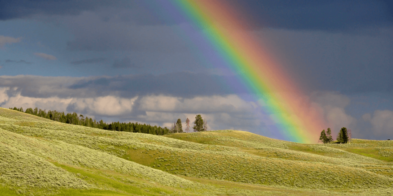 What Is The Meaning Behind Rainbows In The Torah? Jew in the City